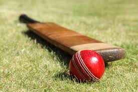 Cricket bat